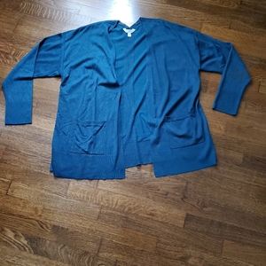 Beautiful blue cardigan